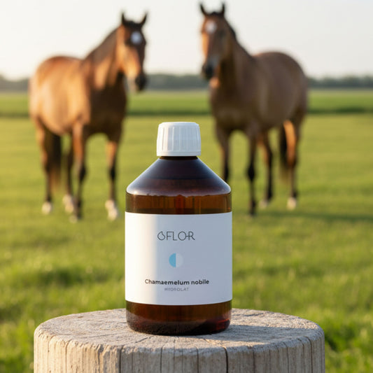 Hydrolat camomille Cheval Horse Remedy