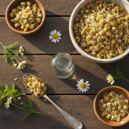 Hydrolat camomille Cheval Horse Remedy