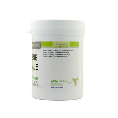 Hygiene_buccale Horse Remedy