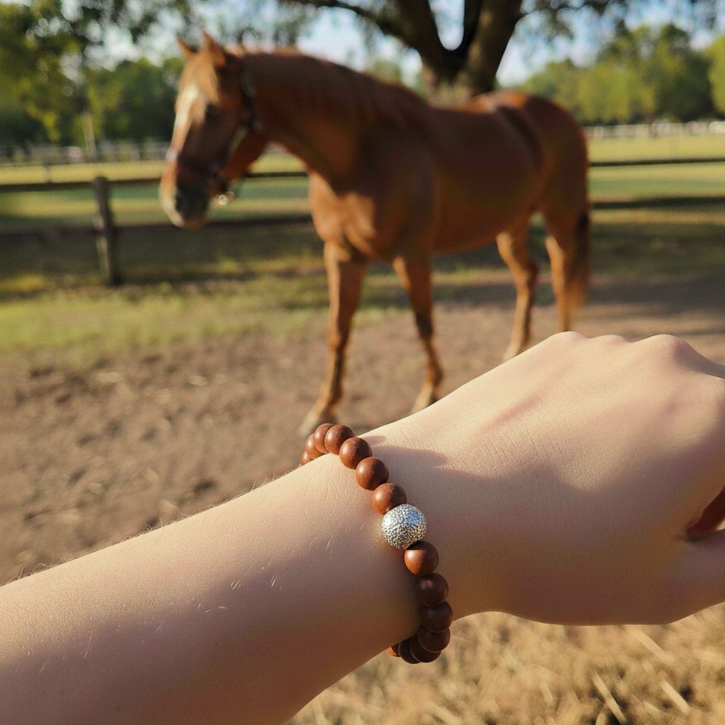 Jaspe rouge Lithothérapie cheval Horse Remedy