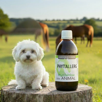 Phyt'Allerg Cheval Horse Remedy