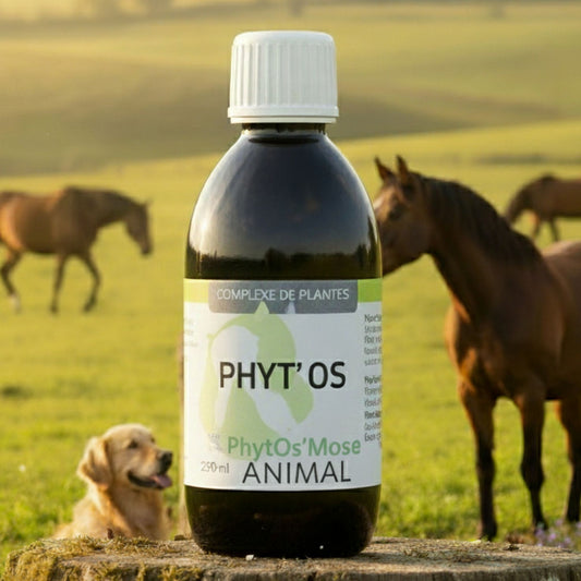 Phyt'Os Cheval Horse Remdy