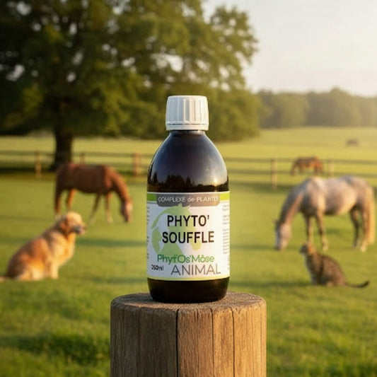 Phyto'Souffle Cheval Horse Remedy