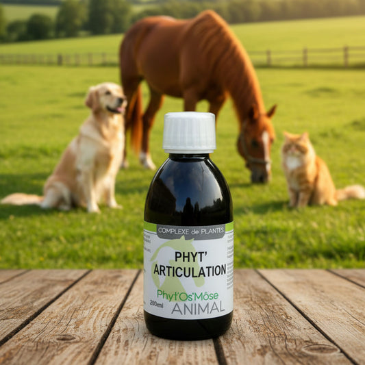 Phyto'Articulation Cheval Horse Remedy