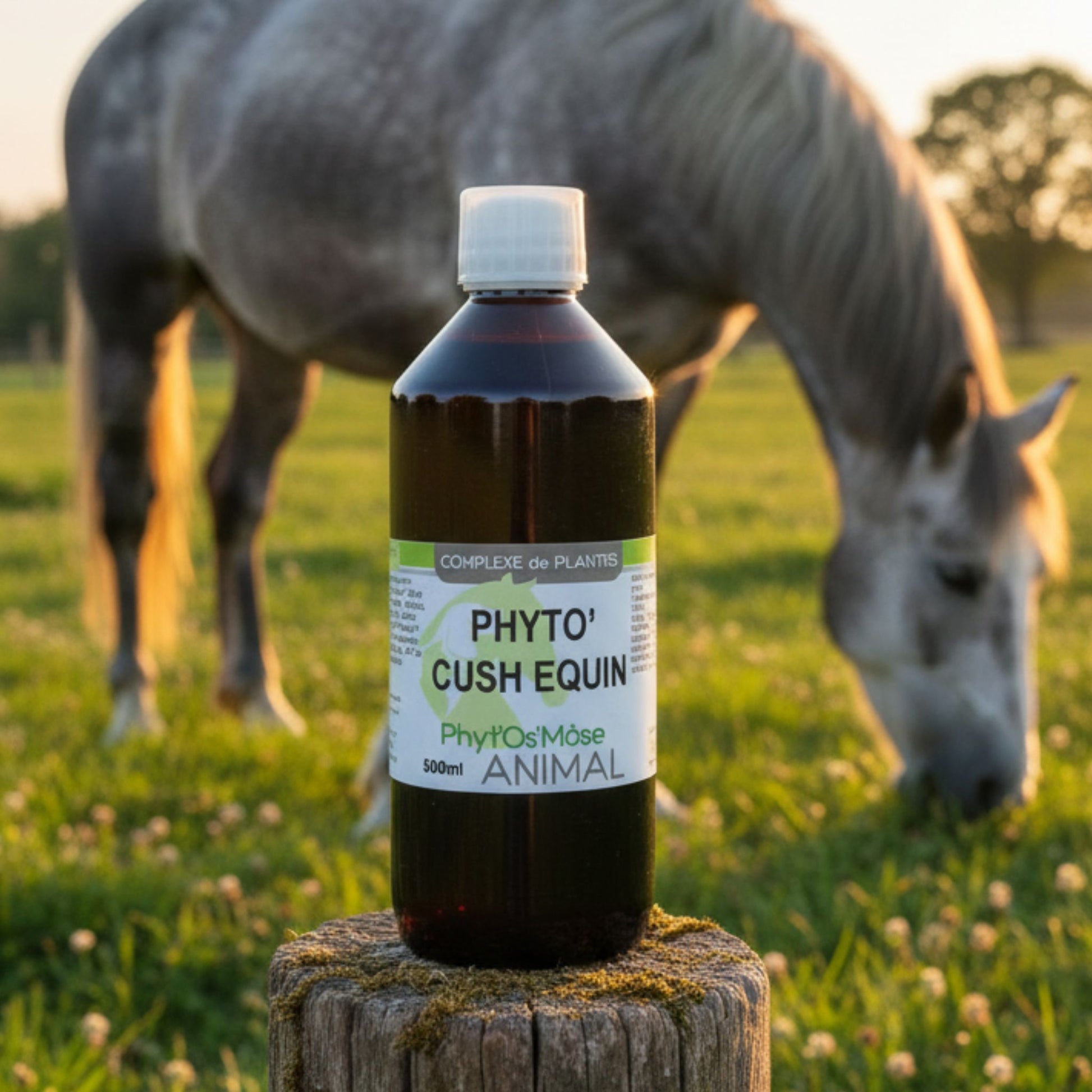 Phyto'Cush Cheval Horse Remedy
