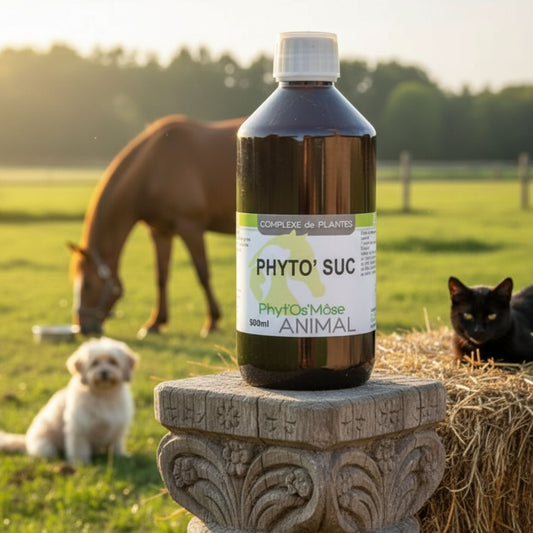 Phyto'Suc Cheval Horse Remedy