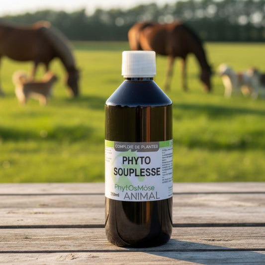 Phyto'Souplesse Cheval Horse Remedy