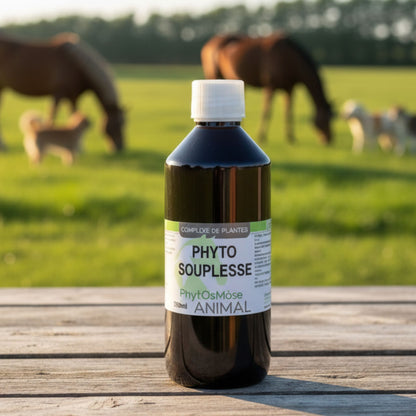 Phyto'Souplesse
