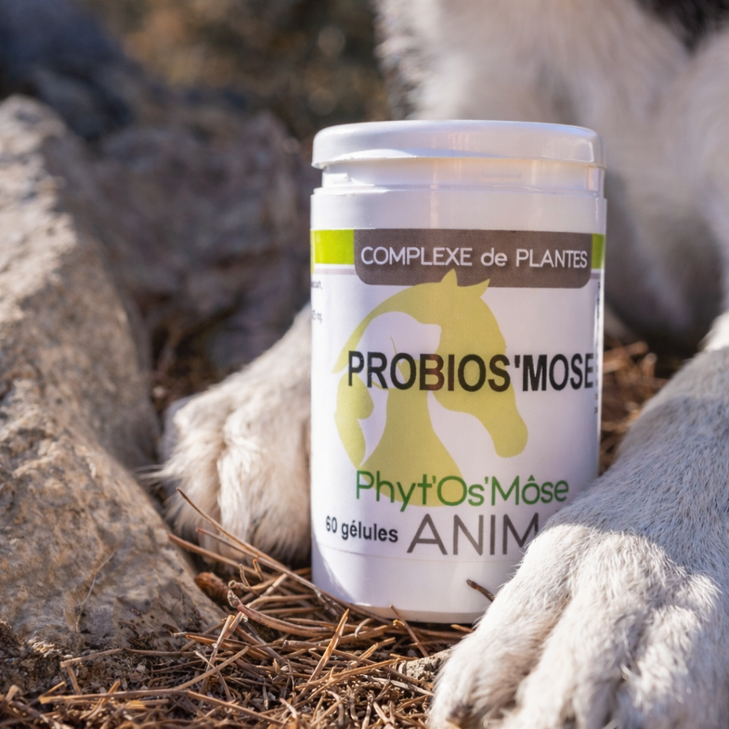 Probi'Osmose