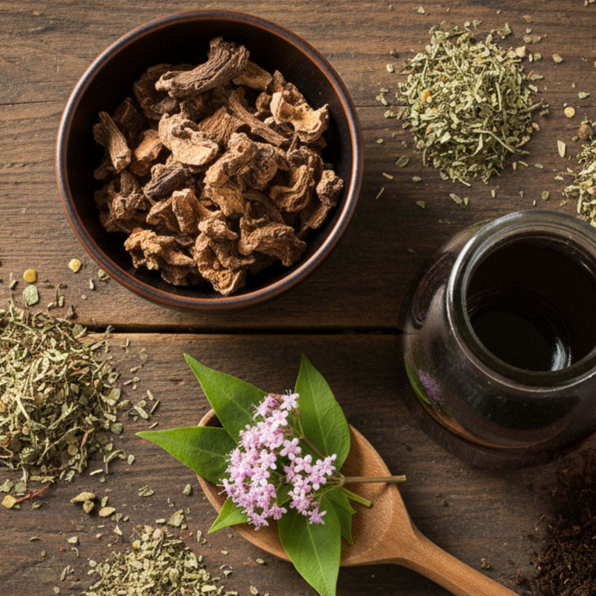 Valériane Cheval Horse Remedy