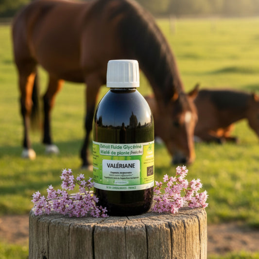 Valeriane Cheval Horse Remedy