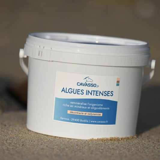 algues Cavasso Horse Remedy
