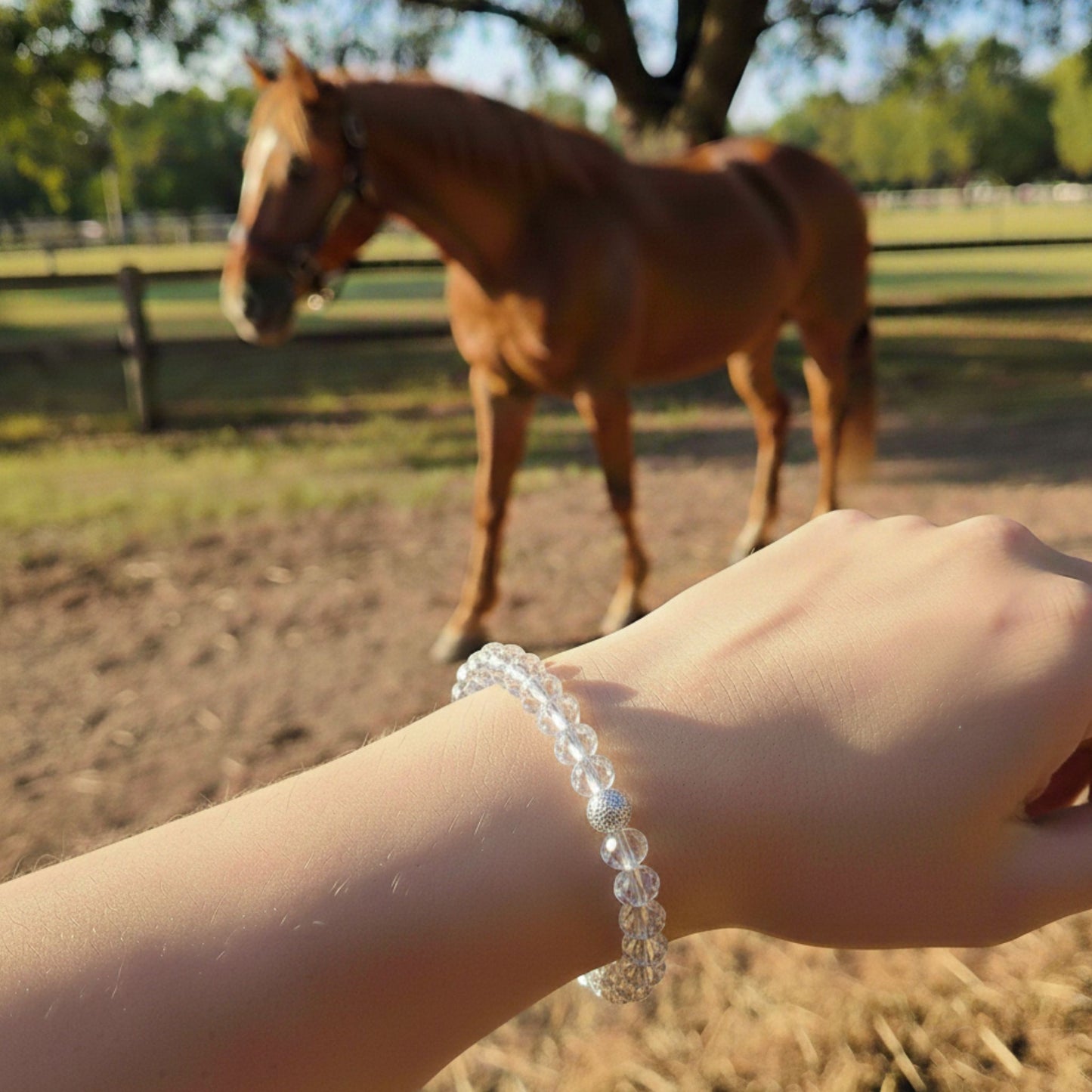 Cristal de roche Lithothérapie cheval Horse Remedy