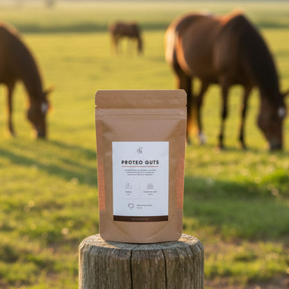Proteoguts Probiotiques Cheval Horse Remedy